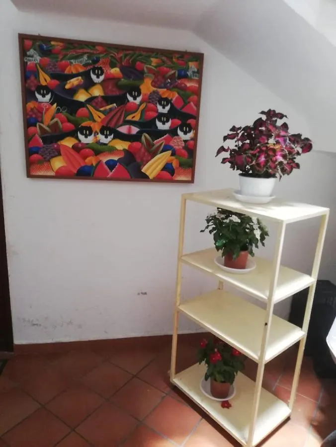 CappucciniROOM Palermo 2*,  Italia